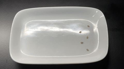 Image in a image block